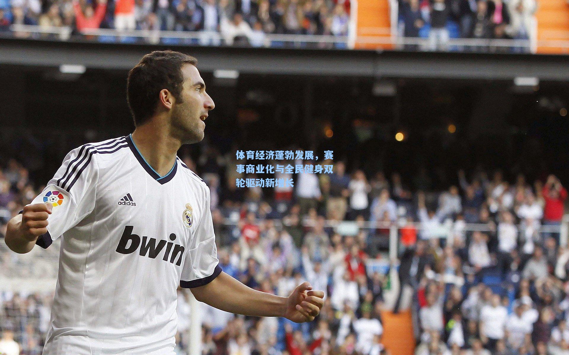 体育经济蓬勃发展,赛事商业化与全民健身双轮驱动新增长